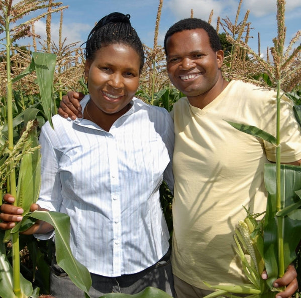 A photo of Brenda and David, smiling on a sunny day in a field of crop