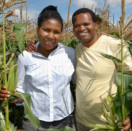 Discover the Fresh and Delicious World of Mwanaka Fresh Farm Foods