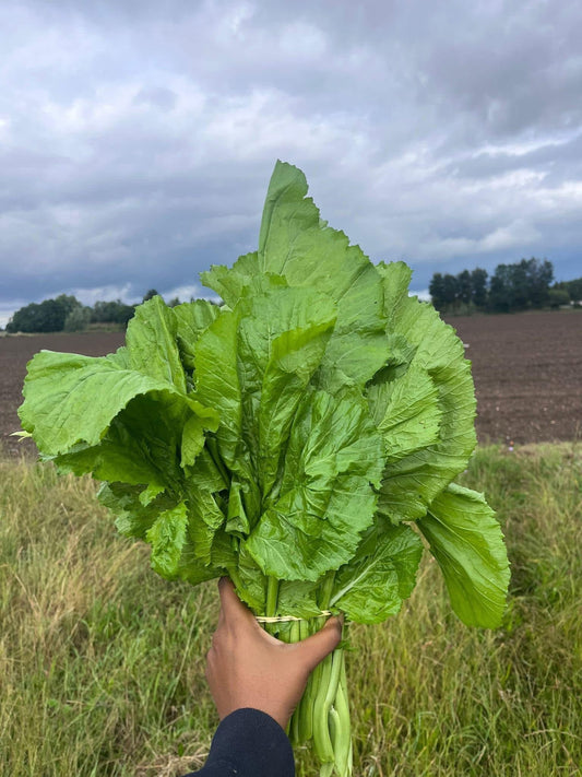 Mustard Greens/Tsunga [Per Bundle]