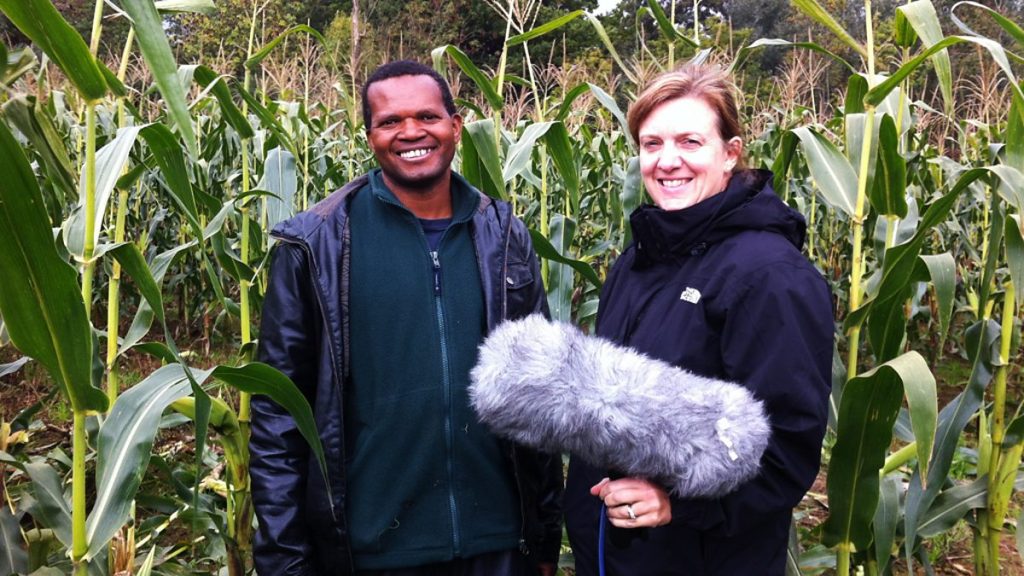 Discover the Finest White Maize in London from Mwanaka Fresh Farm Foods!